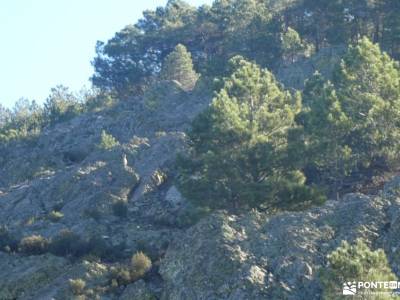 Quema del Turrón - Cumbres de El Atazar; luis rosales poemas cañada real soriana monasterio paular p